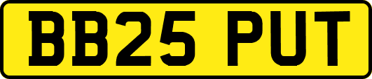 BB25PUT