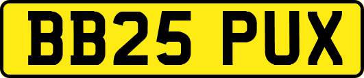 BB25PUX