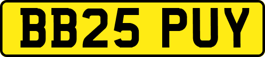 BB25PUY