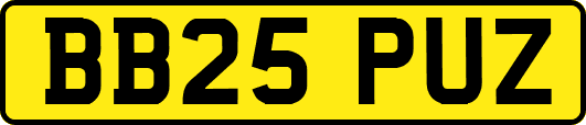 BB25PUZ
