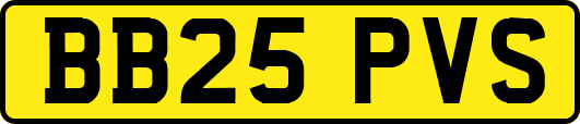 BB25PVS