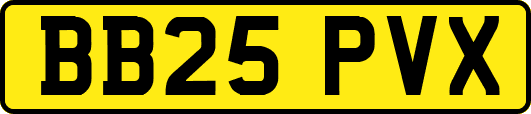 BB25PVX