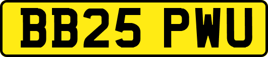 BB25PWU