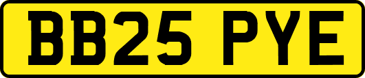 BB25PYE