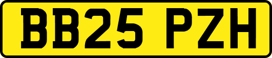 BB25PZH