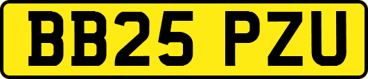 BB25PZU