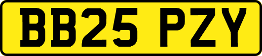 BB25PZY