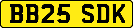 BB25SDK