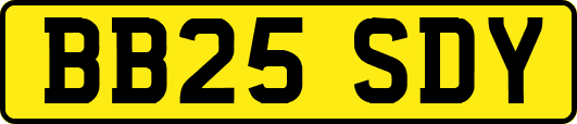 BB25SDY