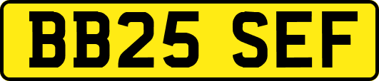 BB25SEF