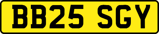 BB25SGY