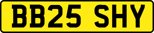 BB25SHY