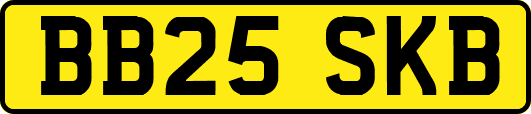 BB25SKB