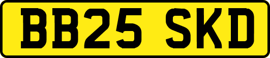 BB25SKD
