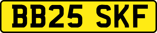 BB25SKF