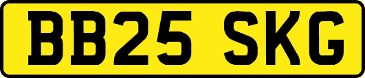 BB25SKG