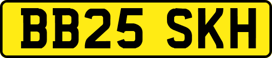 BB25SKH