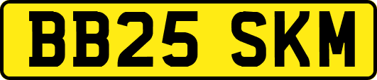 BB25SKM