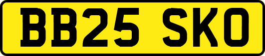 BB25SKO
