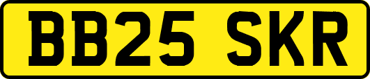 BB25SKR