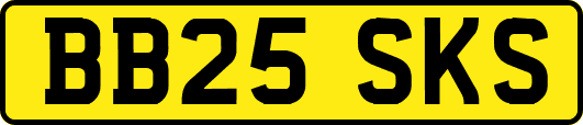 BB25SKS