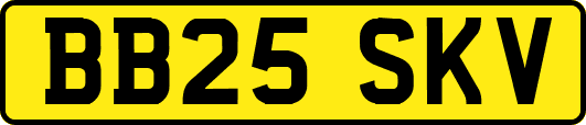 BB25SKV