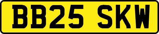 BB25SKW