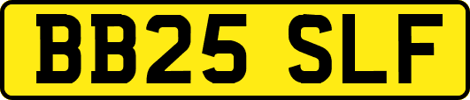 BB25SLF