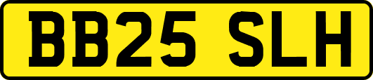 BB25SLH