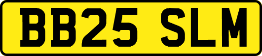 BB25SLM