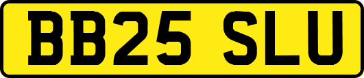 BB25SLU