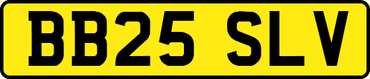 BB25SLV