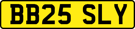 BB25SLY