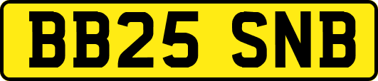 BB25SNB