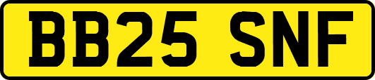 BB25SNF