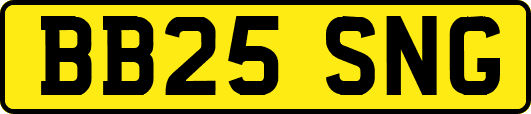 BB25SNG