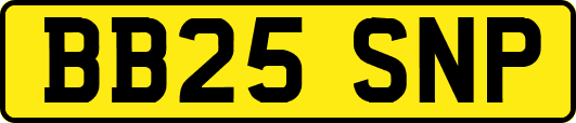 BB25SNP