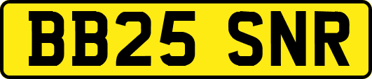 BB25SNR