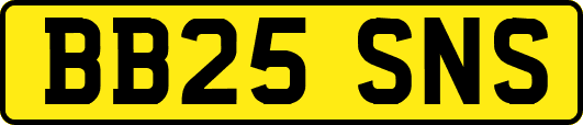 BB25SNS
