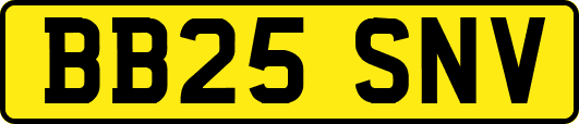 BB25SNV