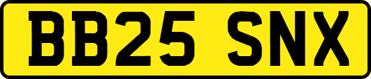 BB25SNX