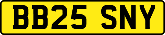 BB25SNY