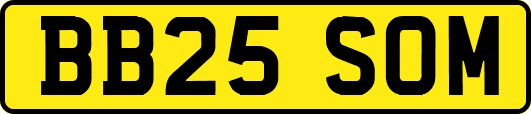 BB25SOM