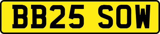BB25SOW