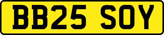 BB25SOY
