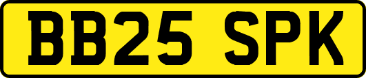 BB25SPK