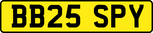 BB25SPY