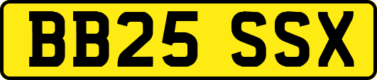 BB25SSX