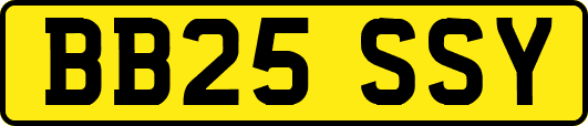 BB25SSY