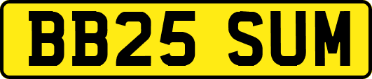 BB25SUM